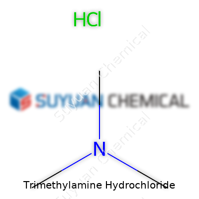 Trimethylamine Hydrochloride