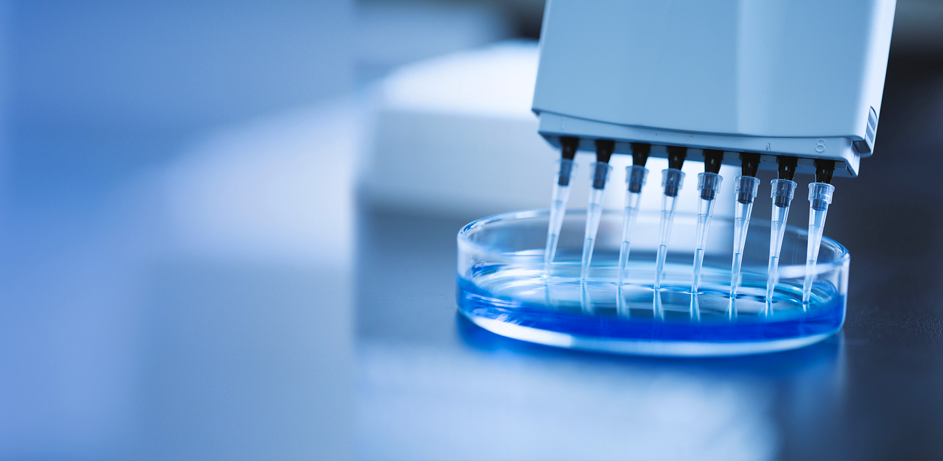 Ascent Petrochem Holdings Co., Limited